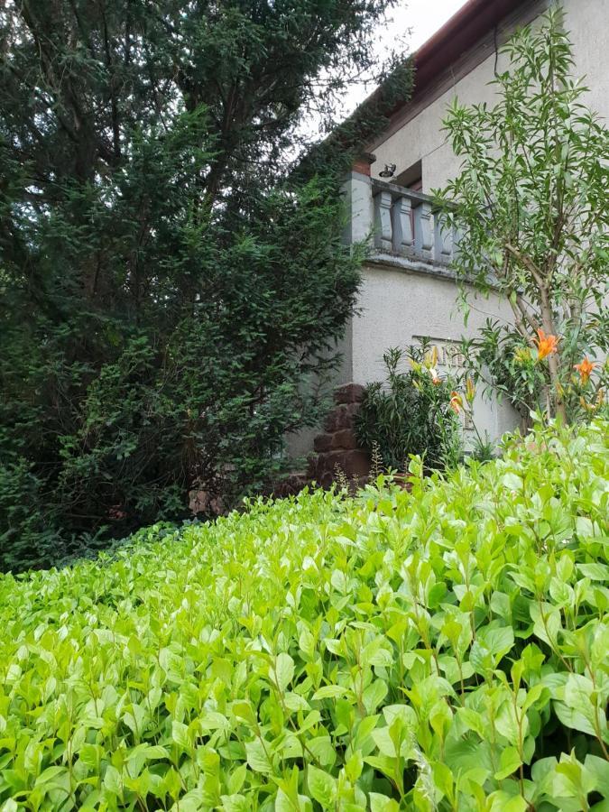 Kasza Villa Balatonfüred Kültér fotó