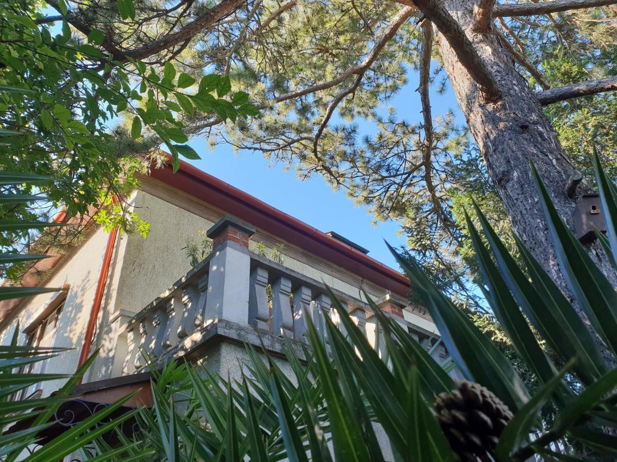 Kasza Villa Balatonfüred Kültér fotó