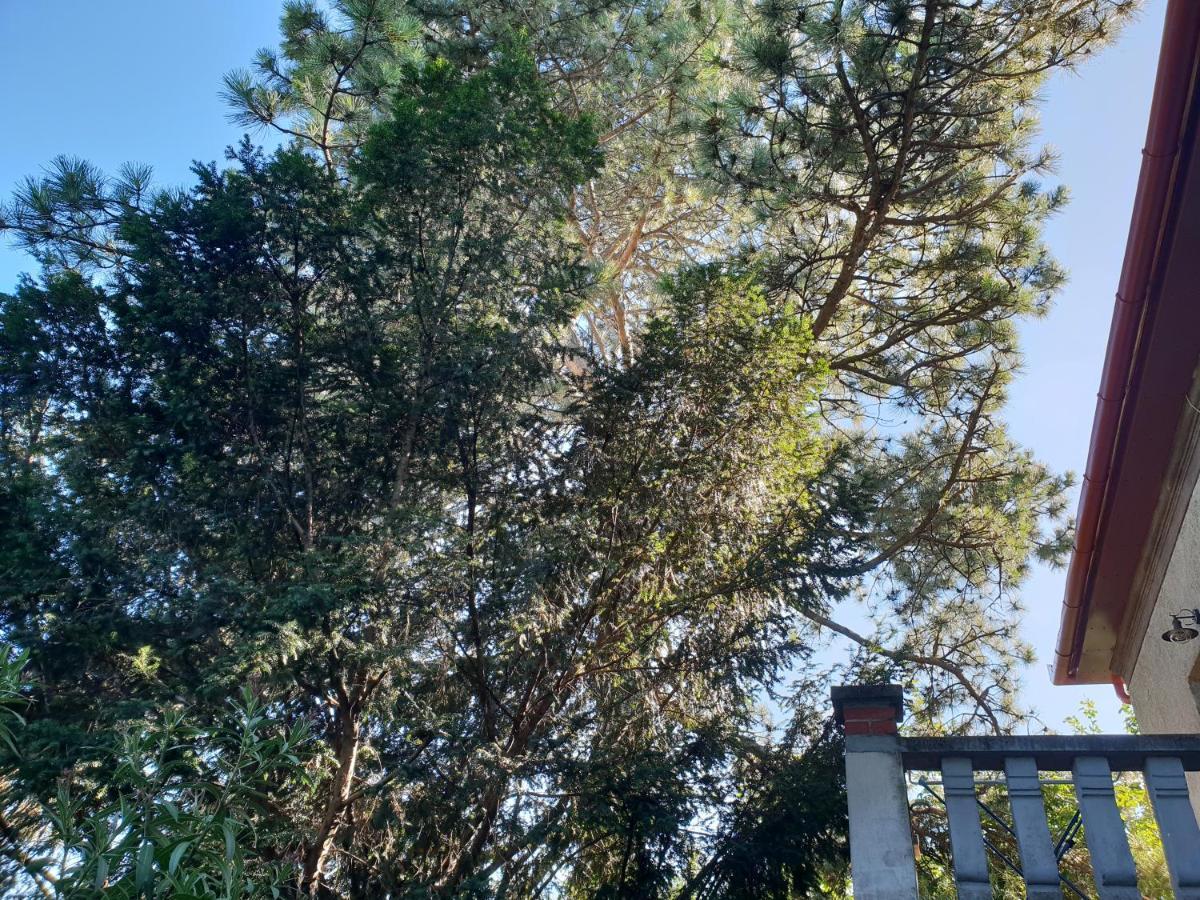 Kasza Villa Balatonfüred Kültér fotó