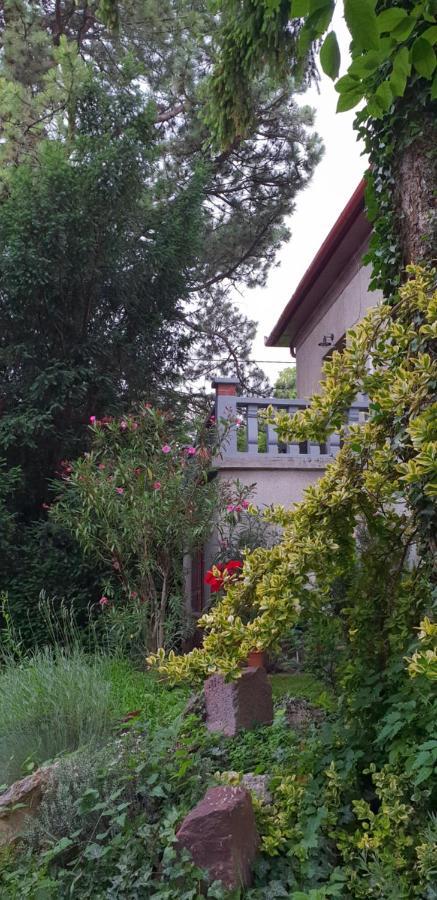 Kasza Villa Balatonfüred Kültér fotó
