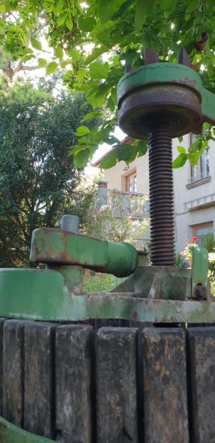 Kasza Villa Balatonfüred Kültér fotó