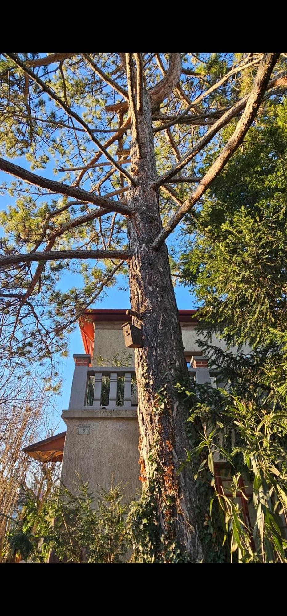 Kasza Villa Balatonfüred Kültér fotó